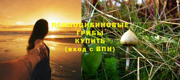 герыч Тайга