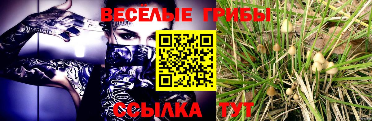 Галлюциногенные грибы Cubensis  наркота  Апрелевка 