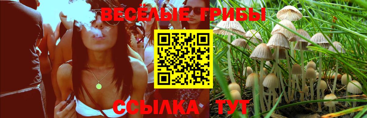 Галлюциногенные грибы прущие грибы Апрелевка