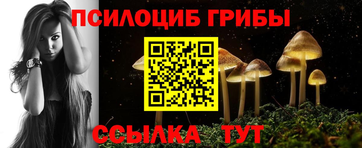Псилоцибиновые грибы GOLDEN TEACHER  Вход с VPN  Апрелевка 
